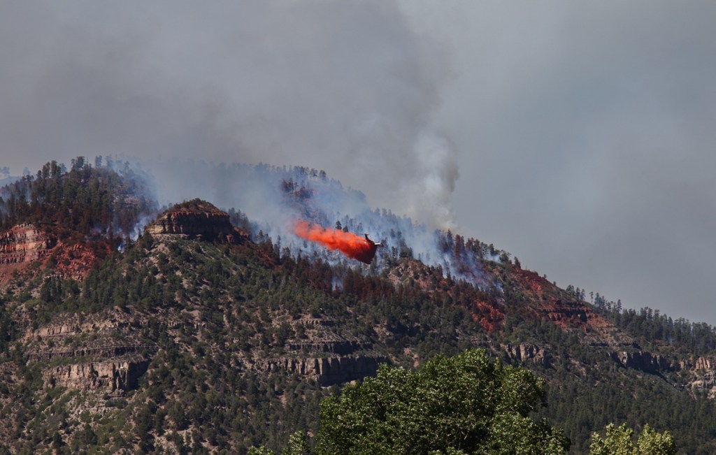 Politicians show they can join&nbsp;hands